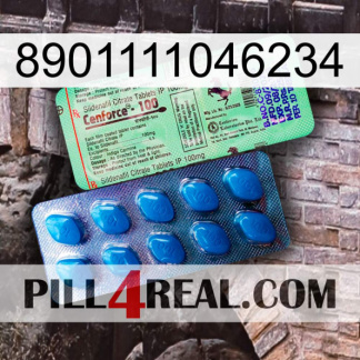 8901111046234 new02